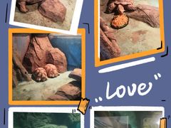 -泉州海丝野生动物世界