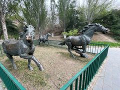 -元大都城垣遗址公园