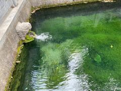-四门塔风景区