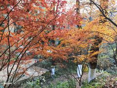 -岳麓山风景名胜区