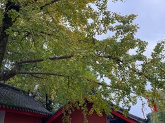 -金堂县云顶石城风景区