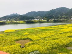 -新安江山水画廊风景区