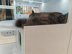 -银泰百货(北京大红门店)