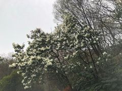 -南京市江宁方山