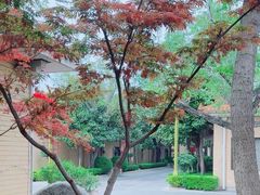 -御座宾馆-餐厅