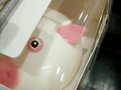 -丽莎蓓甜CAKE生日蛋糕·动物奶油(石家庄店)