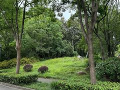 -长广溪湿地公园