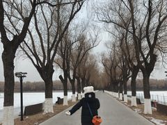 -北陵公园