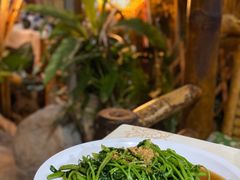 -Jungle Kitchen