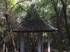 -赭山公园