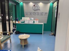-博特宠物医院24h犬猫全科.骨科·异宠