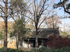 -镇江市南山风景名胜区竹林景区