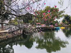 -无锡蠡湖国家湿地公园-蠡园