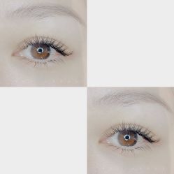-BELLAREAL新美社