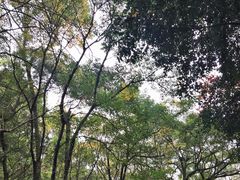 -广州市白云山风景名胜区