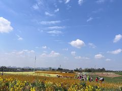 -三圣花乡旅游区