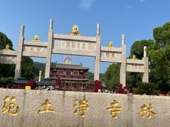 -庐山风景名胜区-东林大佛