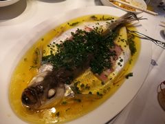 咸肉蒸白水鱼-玫瑰厅上海菜(兴国路店)