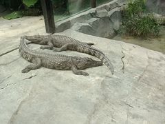 -大连森林动物园