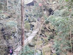 -藏龙百瀑风景区