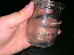 -嘉慧女子水汇
