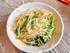 韭菜豆芽-壹盏灯(惠农店)
