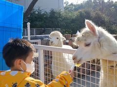 -金庭庄园酒店-停车场