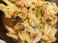 -京北渔家傲