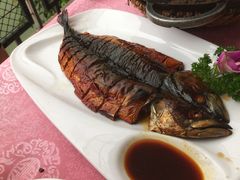 烧鲭鱼-东馆和天下特色餐饮(工农店)