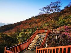 -广州市石门国家森林公园
