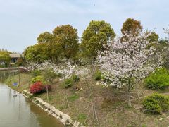 -上海海湾国家森林公园