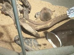 -正佳雨林生态植物园