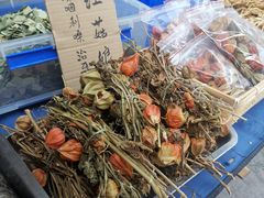 -海窝子古镇