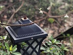 -杭州半山国家森林公园