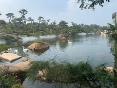 -罗红摄影艺术馆