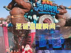 -哈尔滨波塞冬海底世界