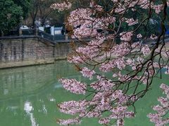 -红星桥(地铁站)