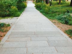 -香山公园
