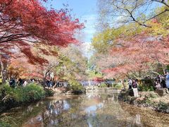 -秋霞圃