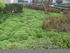 -陕西师范大学(雁塔校区)