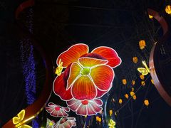 -武汉园博园(武汉自然博物馆)