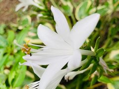 -上海滨江森林公园