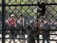 -长白岛森林公园