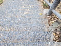 -紫金山索道-售票处