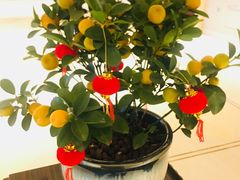 -AdD全日制餐厅(中谷花园酒店)