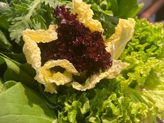 -草原塞蛮羊火锅城(港湾店)