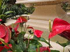 -利顺德大饭店·维多利亚花园(小白楼店)