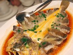 肉汁蒸东海大黄花鱼-炳胜品味(海印总店)