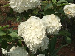 -云南民族大观园