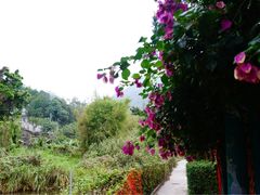 -南丫岛